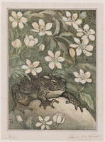KG 09226
<br/>
Pad, zittend tussen bloemen
<br/>
<em>Hoytema, Theo van (1863 -1917)</em>